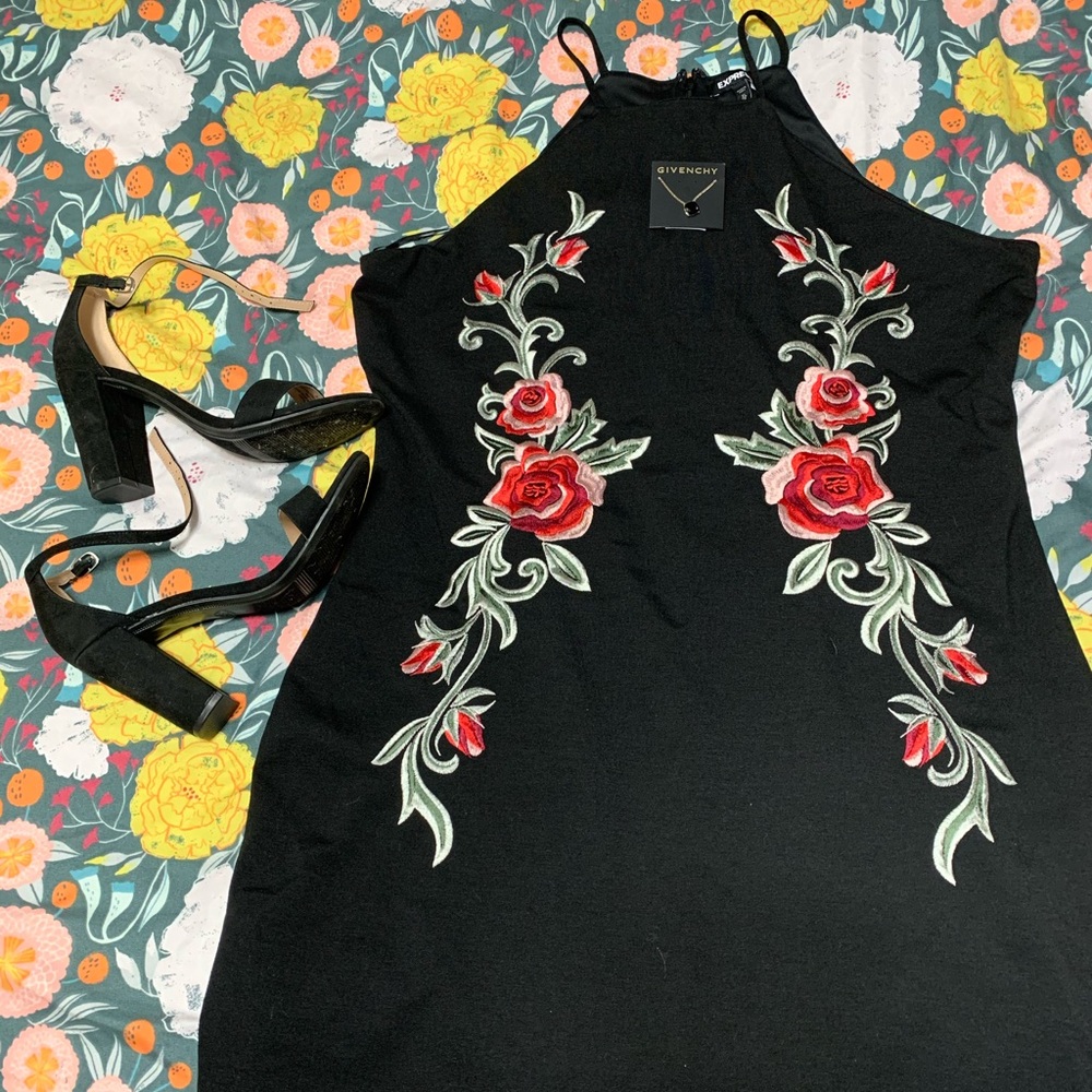 Express rose embroidered dress
